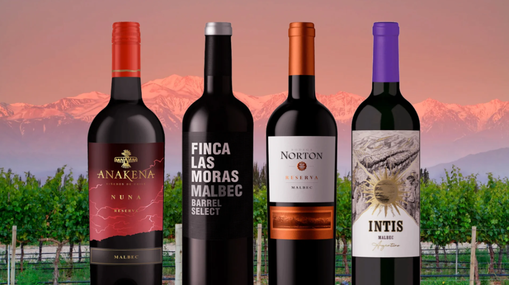 Discovering Argentina's Wine Regions: Malbec and Beyond