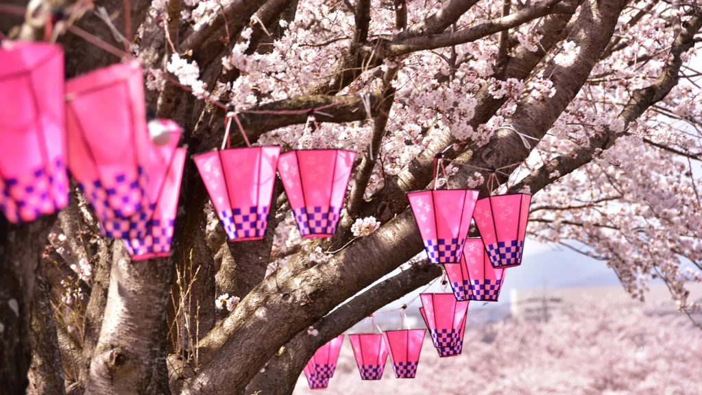 Sakura Season in Japan: Top Spots to Enjoy Cherry Blossoms